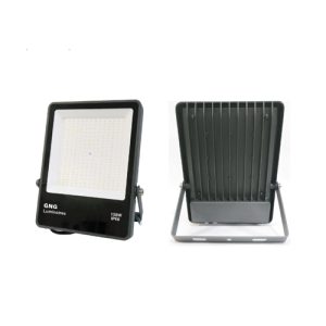GNG-EFL-LED Flood Light