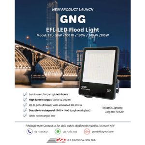 GNG-EFL-LED Flood Light